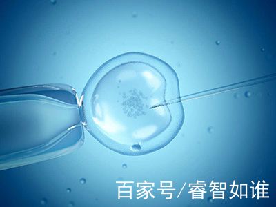 关于供卵供精公司